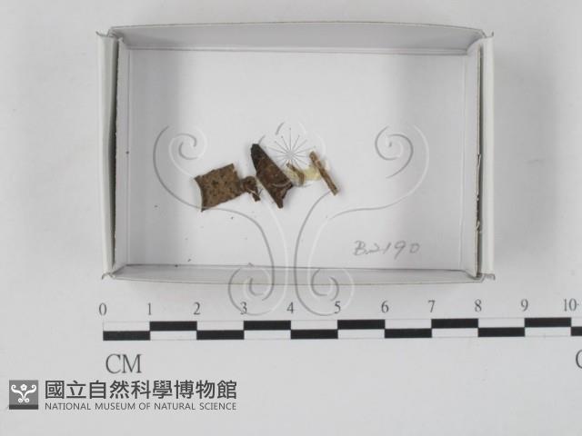 登錄號:F0019866藏品圖，第1張