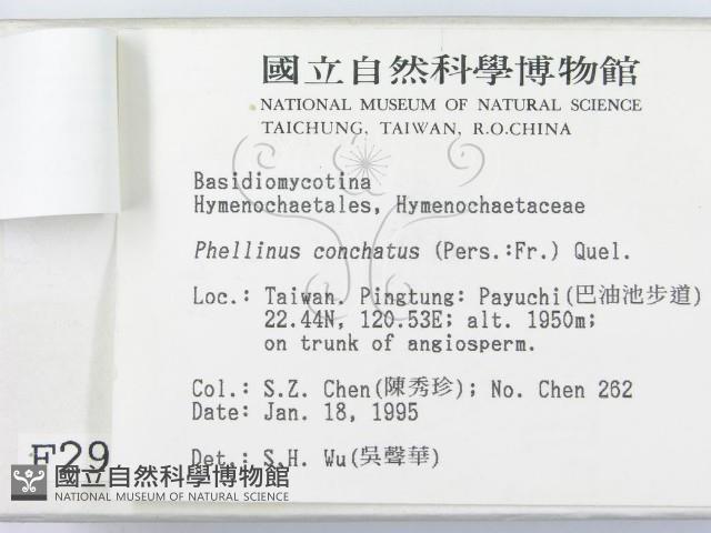 登錄號:F0002966藏品圖，第3張