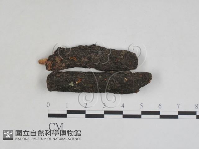 登錄號:F0027966藏品圖，第1張