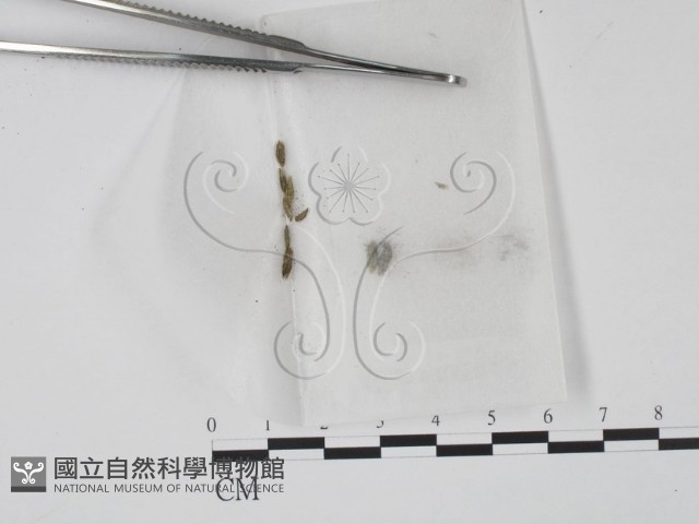 登錄號:F0007966藏品圖，第1張