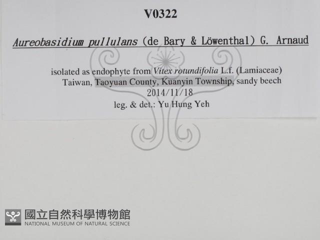 登錄號:F0029966藏品圖，第3張