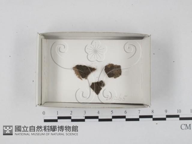 登錄號:F0018666藏品圖，第1張