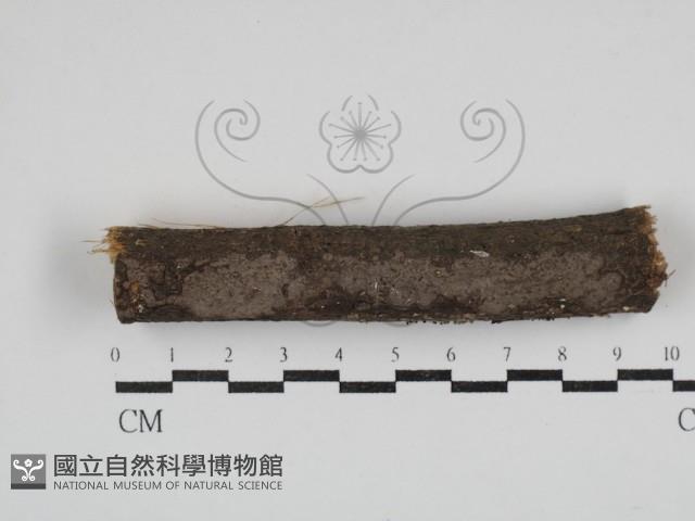 登錄號:F0030666藏品圖，第1張