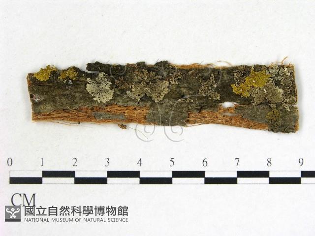 登錄號:F0011666藏品圖，第1張