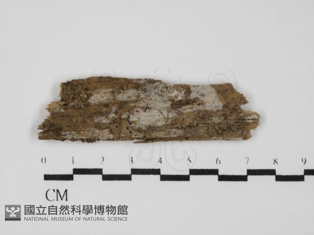 登錄號:F0031666藏品圖，第1張