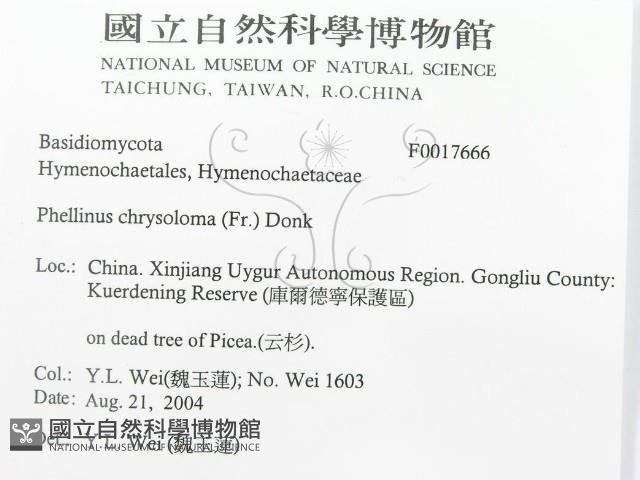 登錄號:F0017666藏品圖，第3張