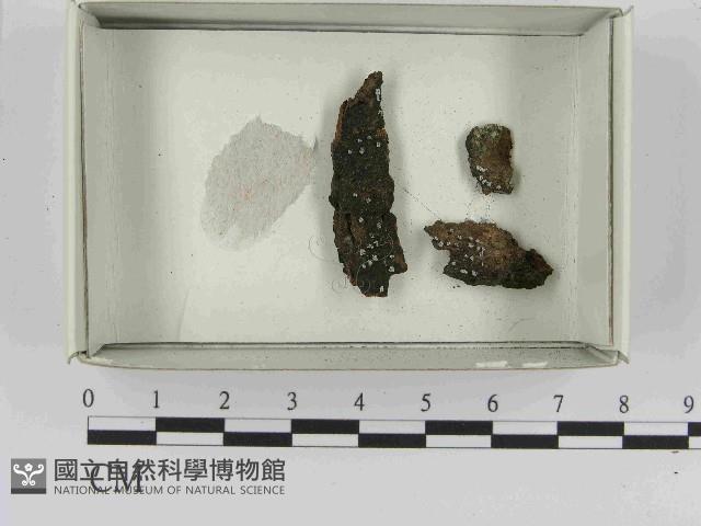 登錄號:F0021466藏品圖，第1張