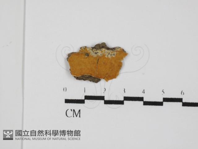 登錄號:F0031466藏品圖，第1張