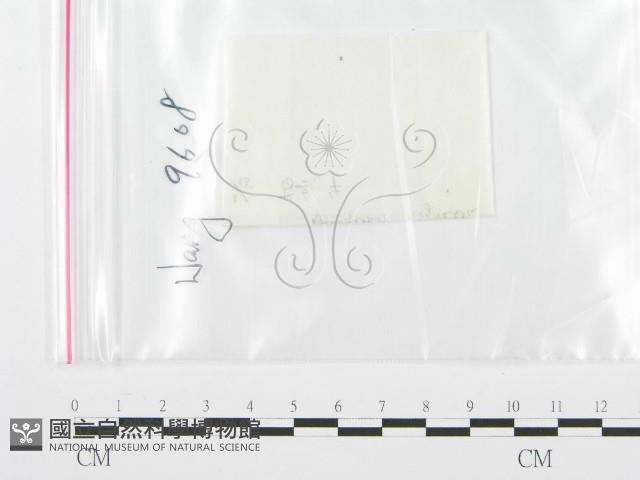 登錄號:F0004466藏品圖，第1張