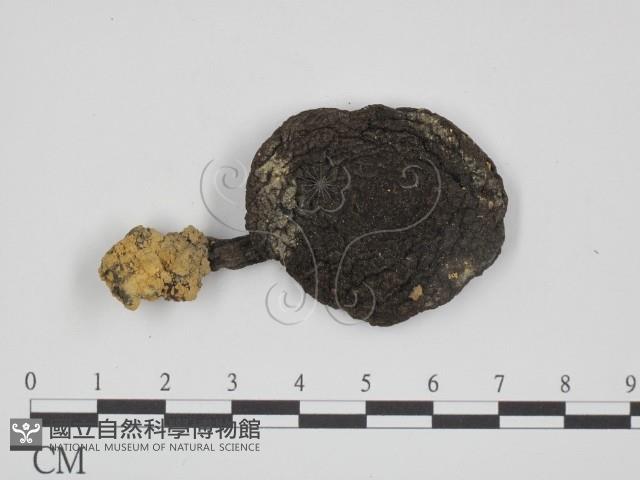 登錄號:F0005466藏品圖，第1張