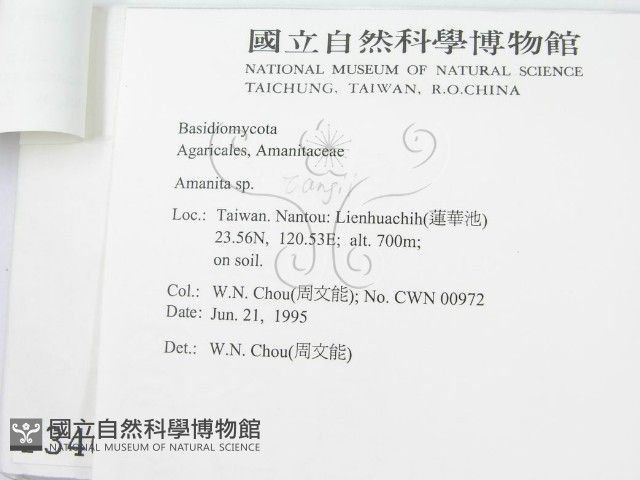 登錄號:F0003466藏品圖，第3張
