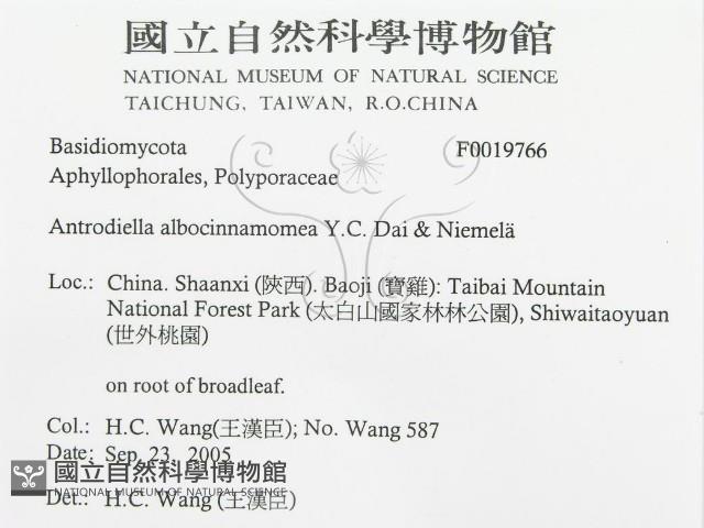登錄號:F0019766藏品圖，第3張