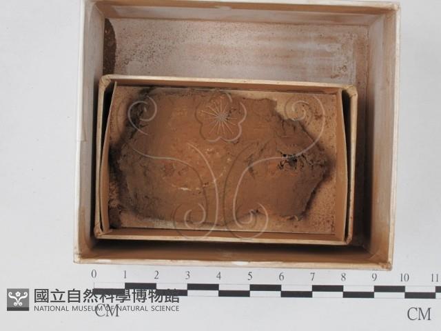 登錄號:F0018566藏品圖，第1張