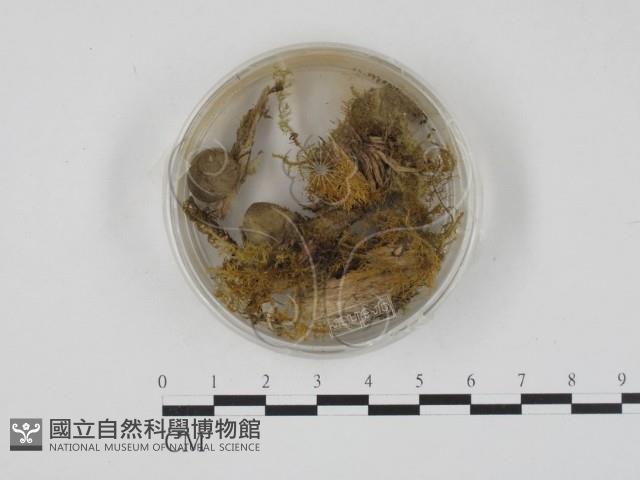 登錄號:F0000566藏品圖，第1張