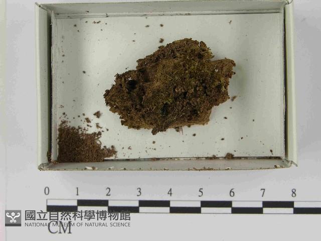 登錄號:F0021566藏品圖，第1張