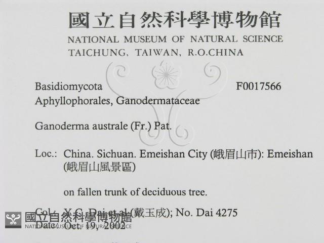 登錄號:F0017566藏品圖，第3張