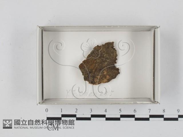 登錄號:F0018166藏品圖，第1張
