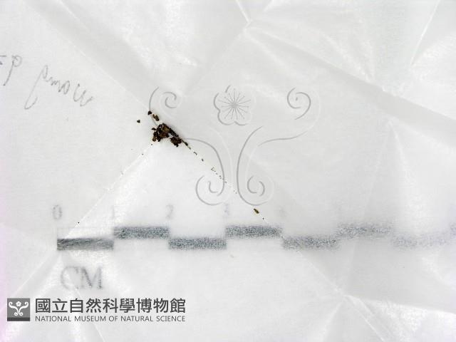 登錄號:F0000166藏品圖，第1張