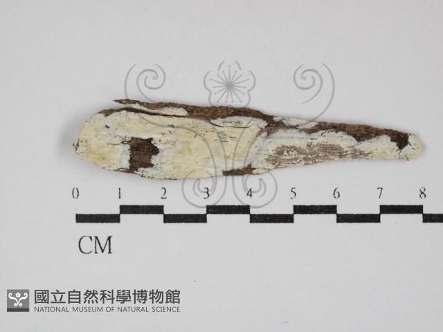 登錄號:F0030166藏品圖，第1張