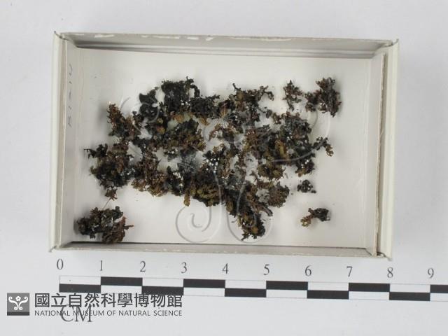 登錄號:F0021166藏品圖，第1張