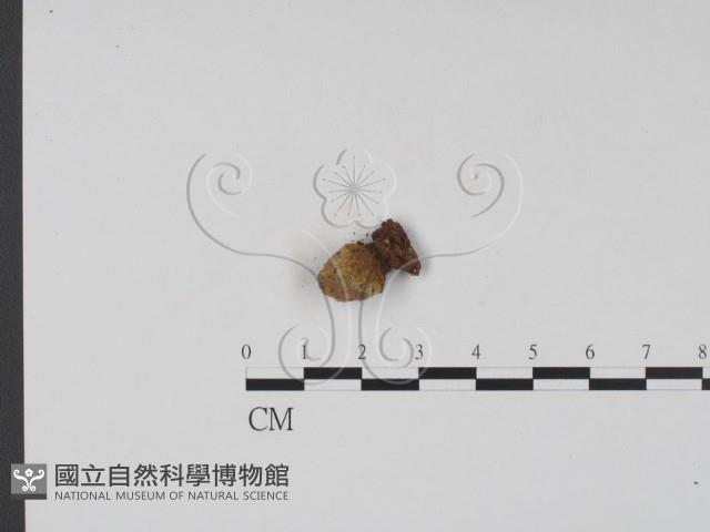 登錄號:F0001166藏品圖，第1張