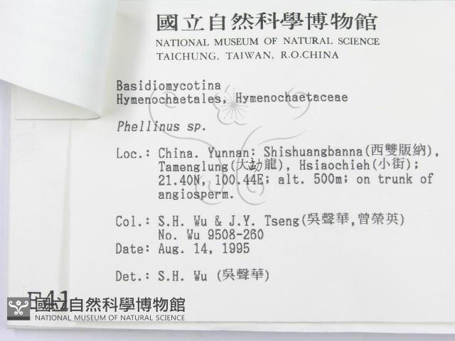 登錄號:F0004166藏品圖，第3張