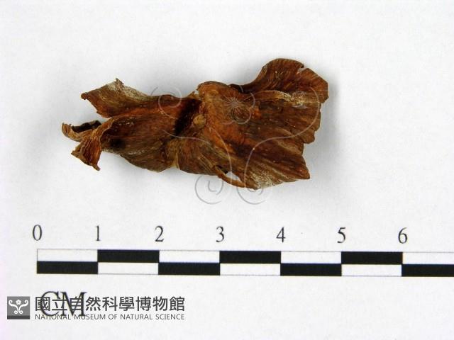 登錄號:F0002166藏品圖，第1張