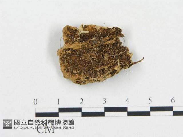 登錄號:F0015166藏品圖，第1張