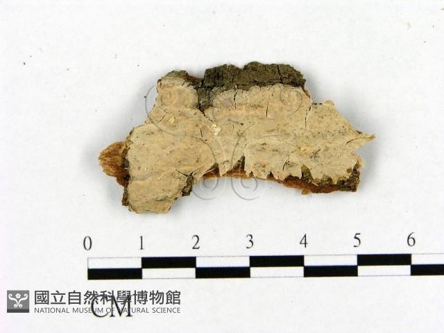 登錄號:F0012066藏品圖，第1張