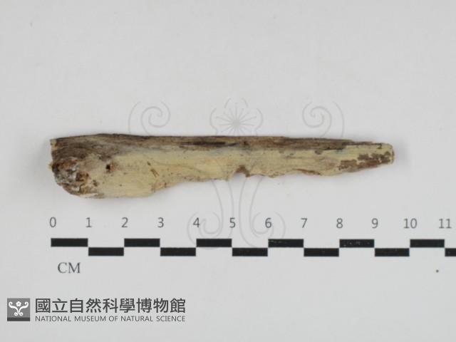 登錄號:F0033066藏品圖，第1張