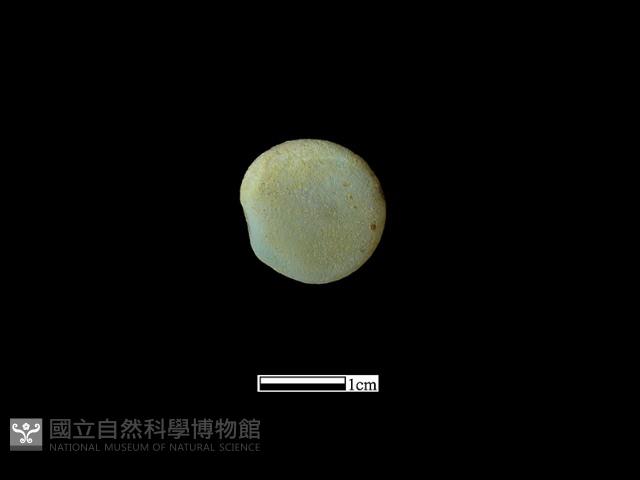 圍棋子藏品圖，第1張