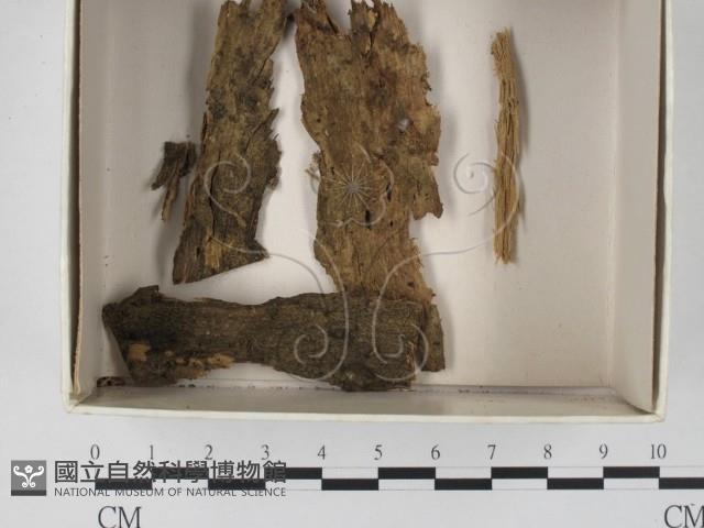 登錄號:F0018366藏品圖，第1張