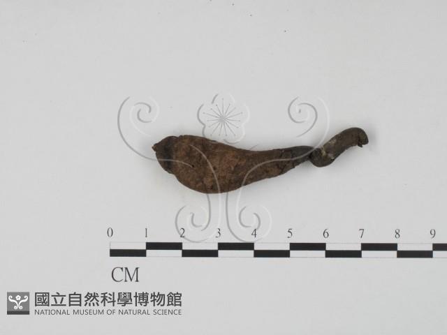 登錄號:F0007366藏品圖，第1張