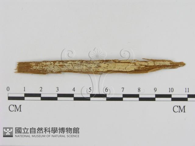 登錄號:F0009366藏品圖，第1張