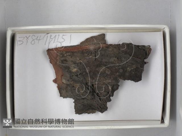 登錄號:F0018226藏品圖，第1張