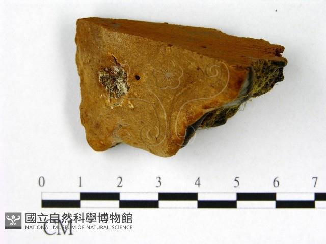 登錄號:F0006226藏品圖，第1張