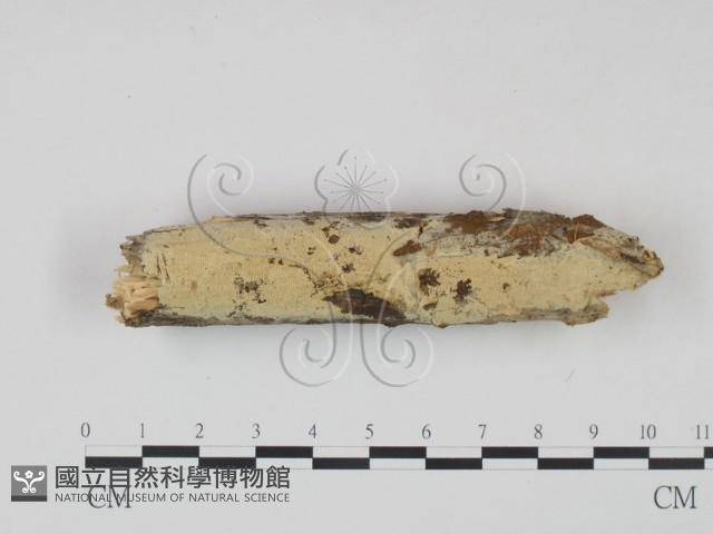 登錄號:F0022226藏品圖，第1張