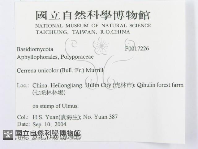 登錄號:F0017226藏品圖，第3張