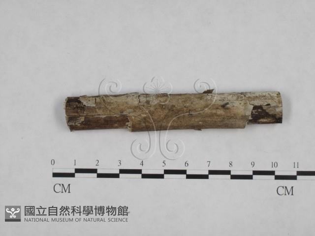 登錄號:F0024826藏品圖，第1張