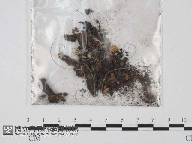 登錄號:F0009826藏品圖，第1張