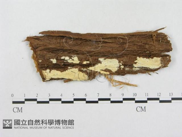 登錄號:F0000926藏品圖，第1張
