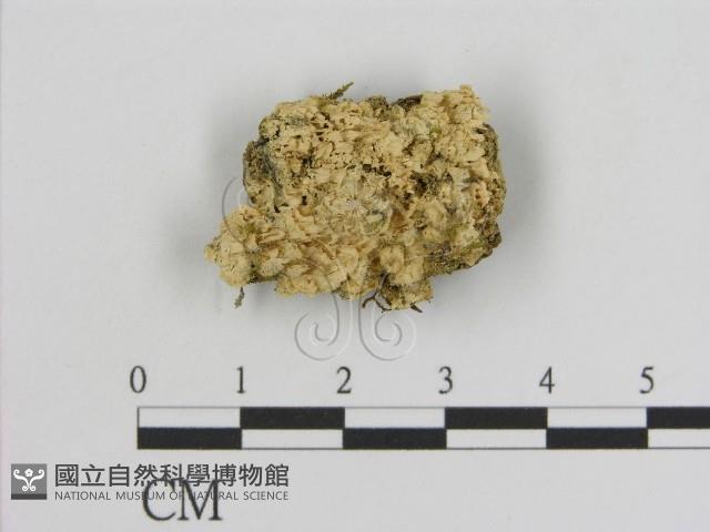 Accession Number:F0006926 Collection Image, Figure 1, Total 2 Figures