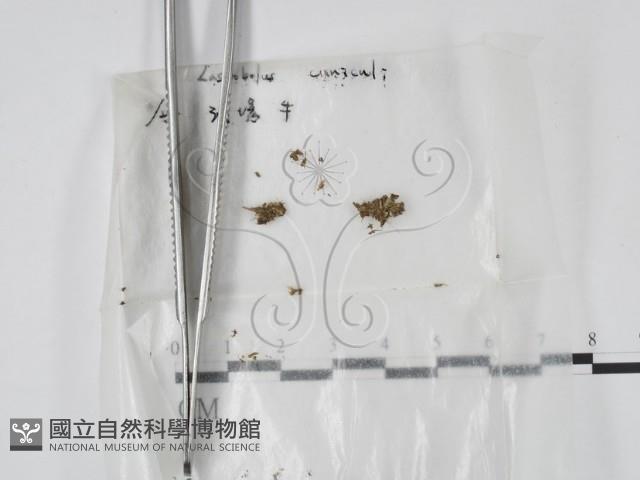 登錄號:F0001926藏品圖，第1張