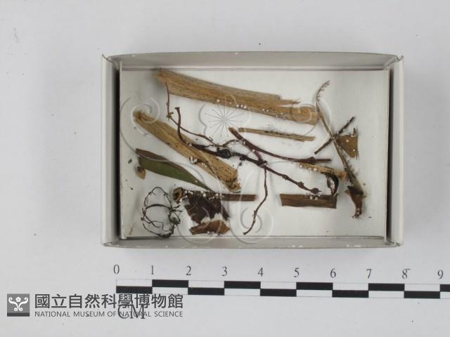 登錄號:F0018626藏品圖，第1張