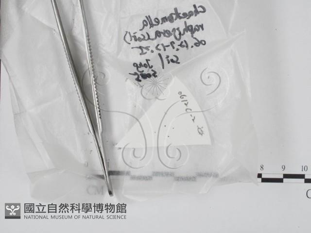 登錄號:F0020626藏品圖，第1張