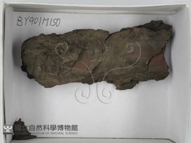 登錄號:F0018426藏品圖，第1張