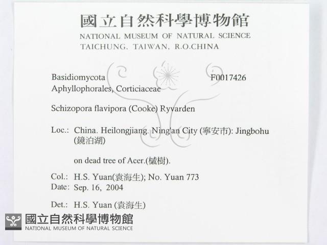 登錄號:F0017426藏品圖，第3張