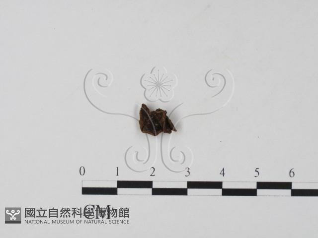 登錄號:F0015426藏品圖，第1張