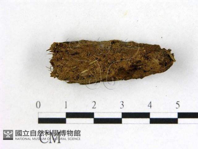登錄號:F0000726藏品圖，第1張