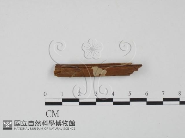 登錄號:F0016726藏品圖，第1張